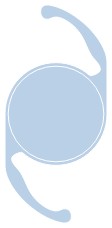 Img iq
