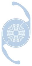 Img panoptix torico